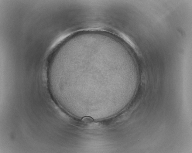 X0000115331456200911231402