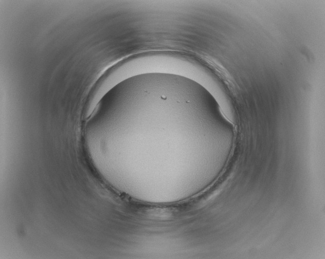 X0000115331457200911231402