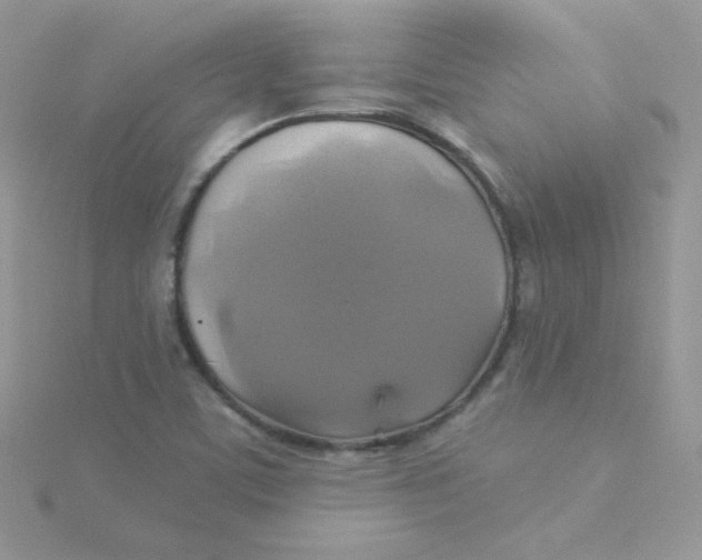 X0000115331459200911231402