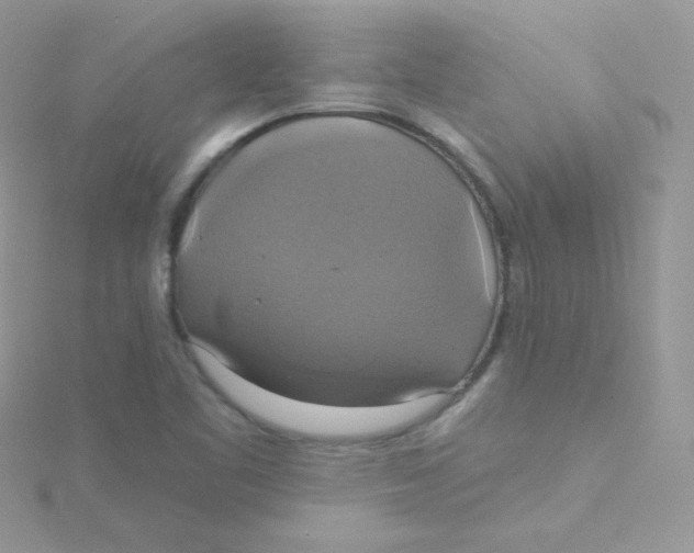 X0000115331461200911231402