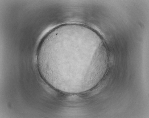 X0000115331462200911231402