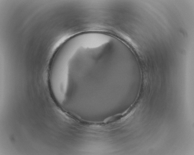 X0000115331463200911231401