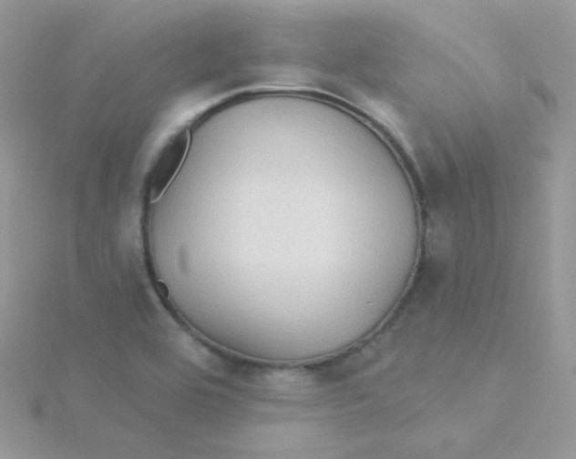 X0000115331464200911231401