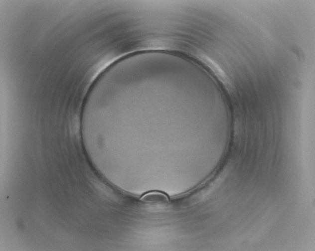 X0000115331465200911231401