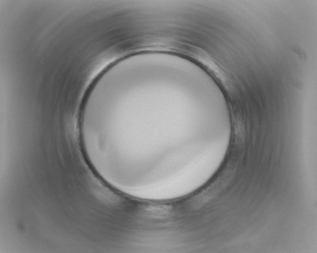 X0000115331466200911231401