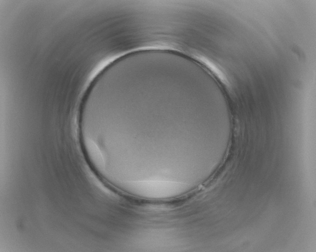 X0000115331468200911231401