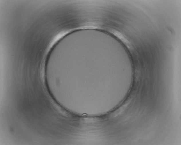 X0000115331469200911231401