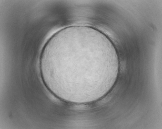 X0000115331470200911231401