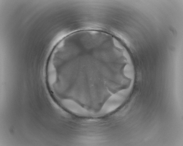 X0000115331471200911231401