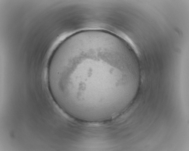 X0000115331472200911231401