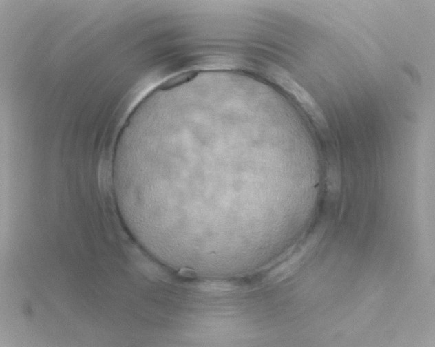 X0000115331473200911231401