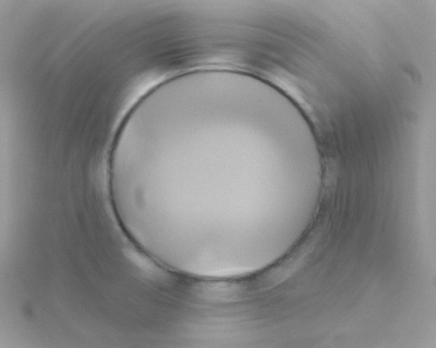 X0000115331474200911231401