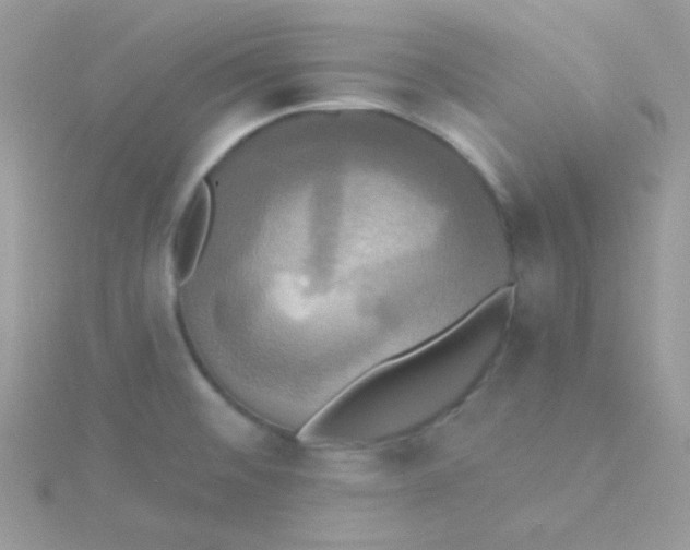 X0000115331476200911231401