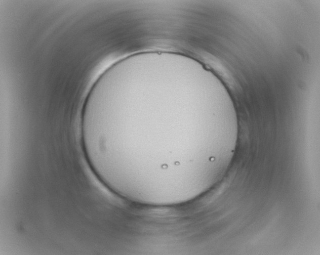 X0000115331479200911231401