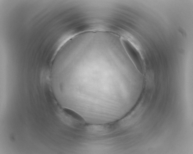 X0000115331481200911231401