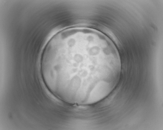 X0000115331483200911231401