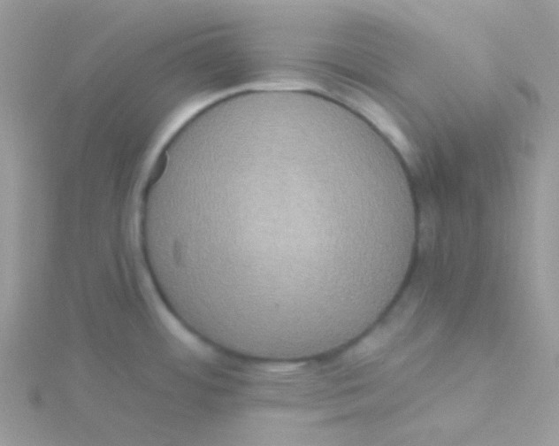 X0000115331484200911231401