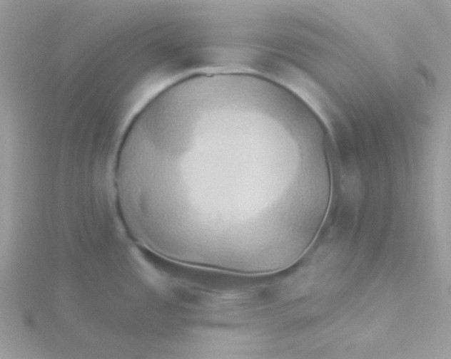 X0000115331485200911231401