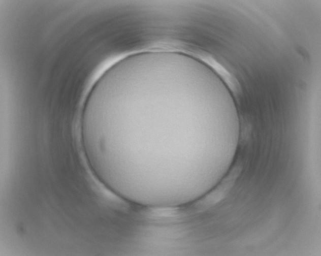 X0000115331486200911231401