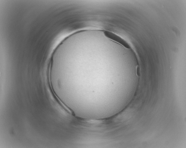 X0000115331488200911231401