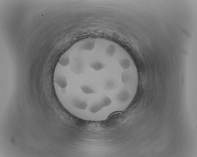 X0000115331489200911231400