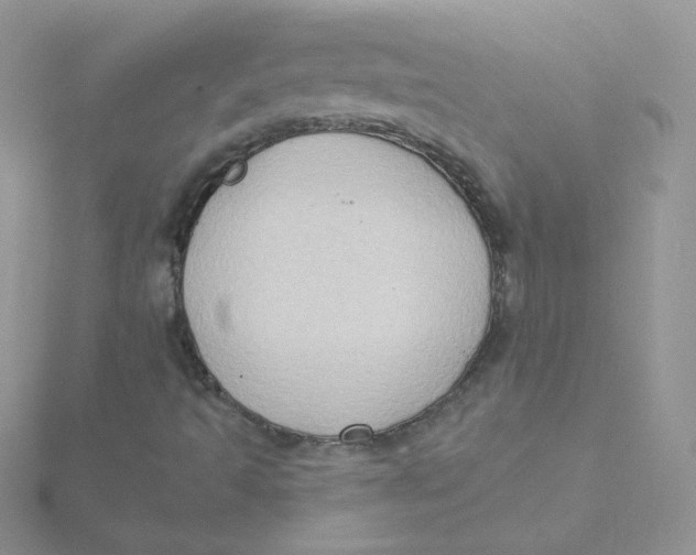 X0000115331493200911231400