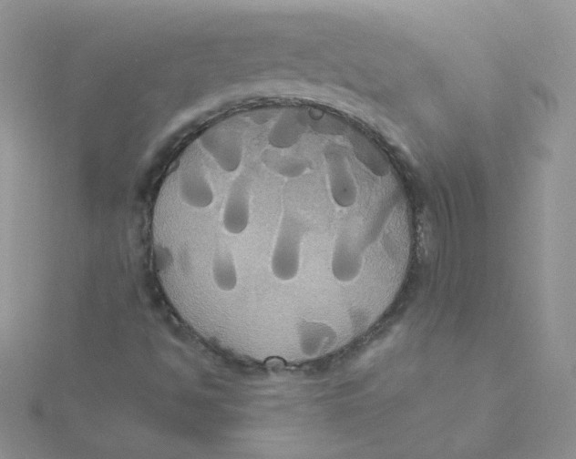 X0000115331494200911231400