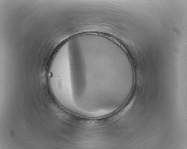 X0000115331497200911231400