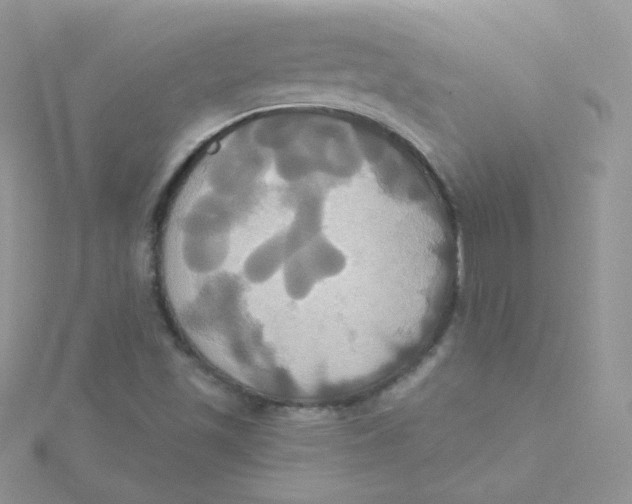 X0000115331501200911231400