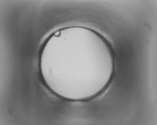 X0000115331502200911231400