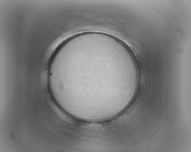 X0000115331503200911231400