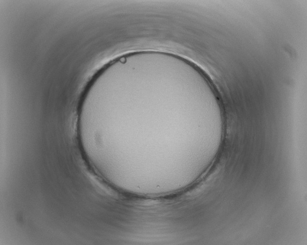 X0000115331507200911231401