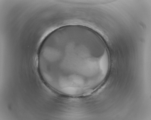 X0000115331509200911231401