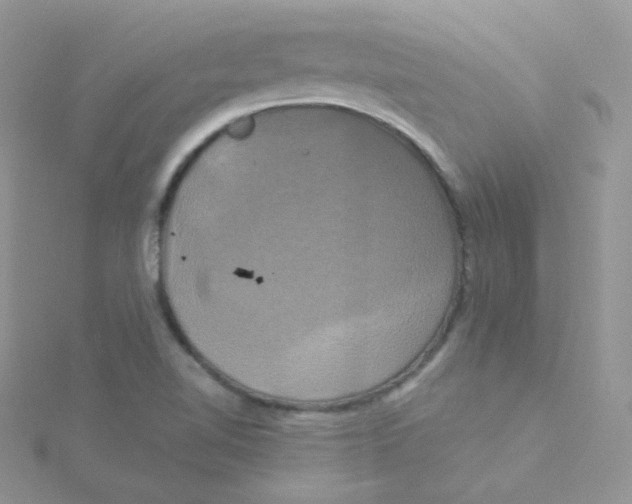 X0000115331510200911231401