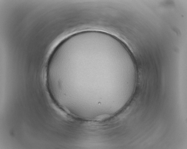 X0000115331511200911231401