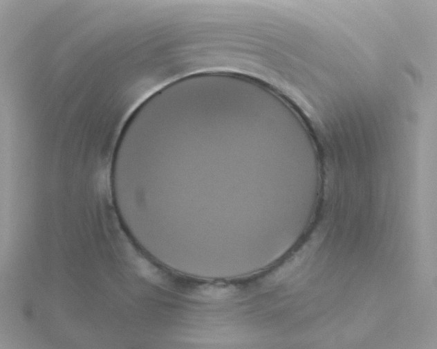 X0000115331513200911231401