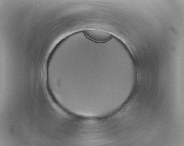 X0000115331515200911231401