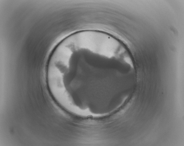 X0000115331517200911231401