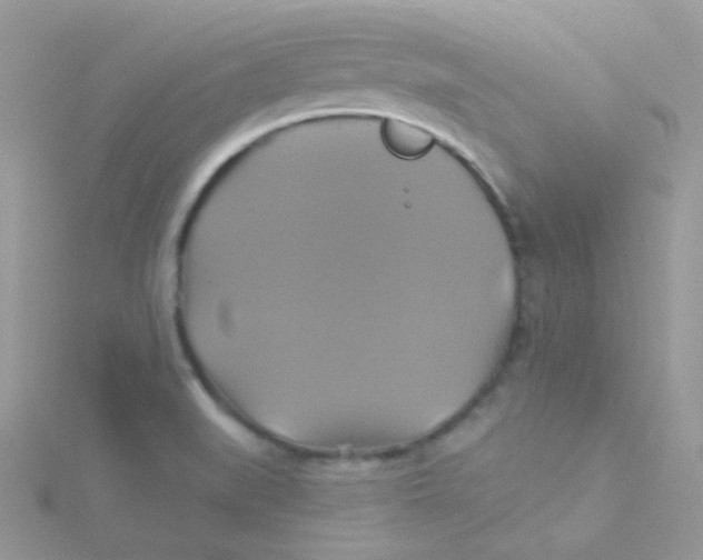 X0000115331519200911231401