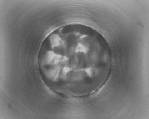 X0000115331521200911231401