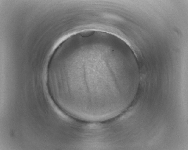 X0000115331523200911231401