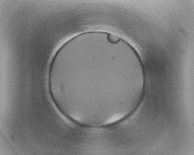 X0000115331525200911231401