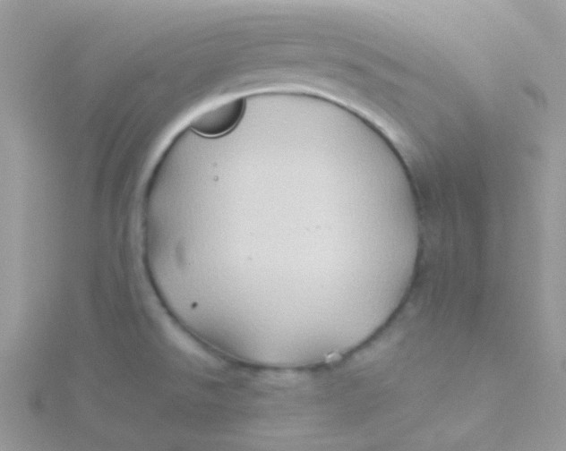 X0000115331526200911231401