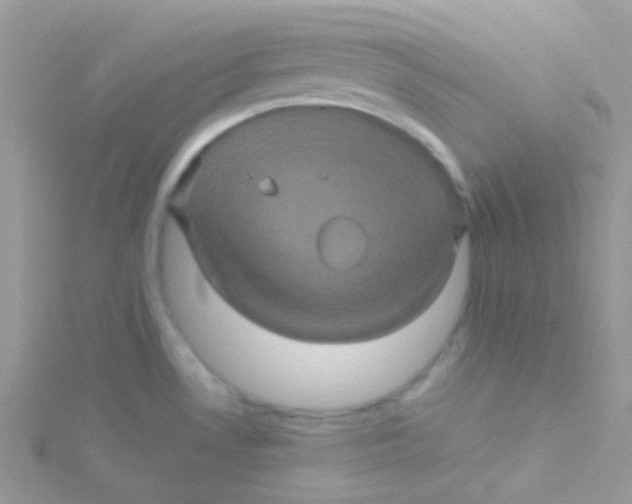 X0000115331530200911231401