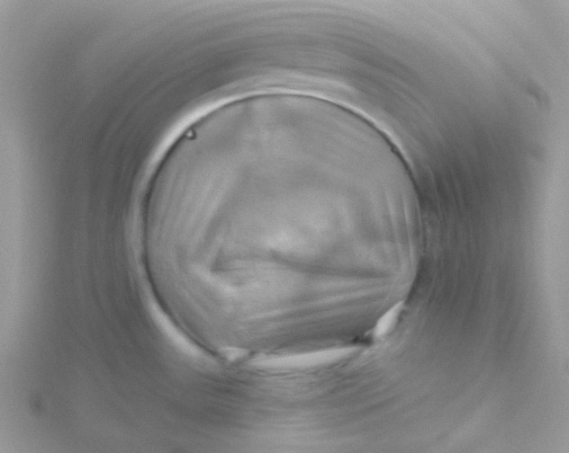 X0000115331531200911231401