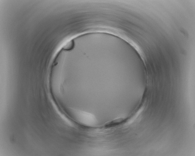 X0000115331533200911231401