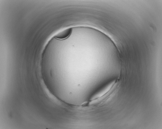 X0000115331534200911231401