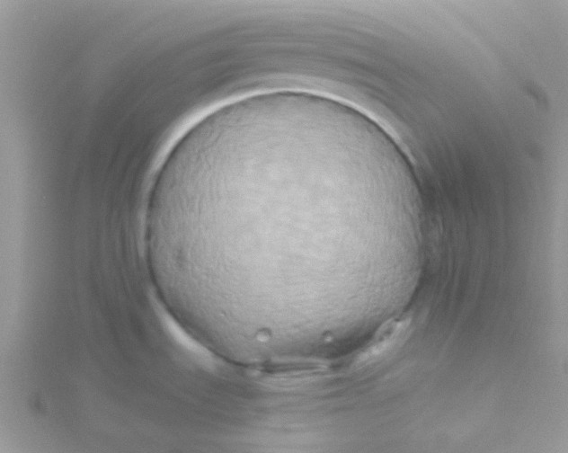 X0000115331535200911231401