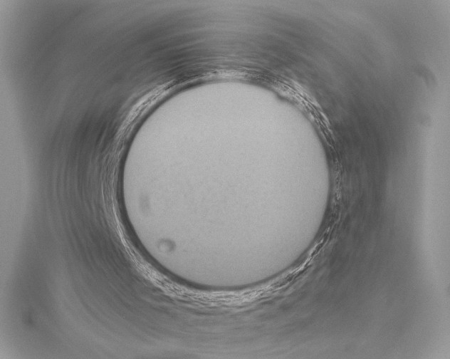 X0000115330001200911301536