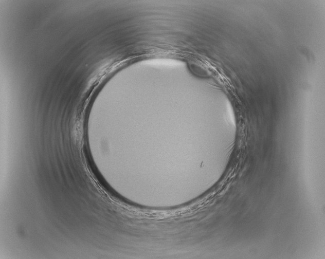 X0000115330002200911301536